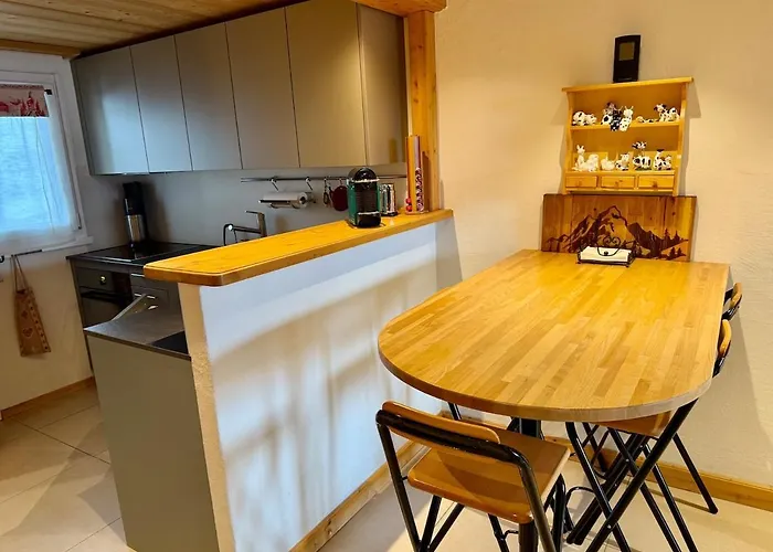 72 05 Charming Duplex 4 Pax Gryon