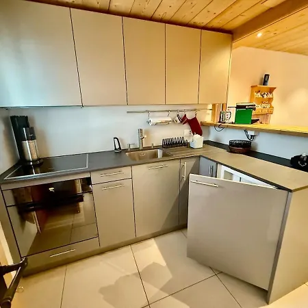 72 05 Charming Duplex 4 Pax * Gryon