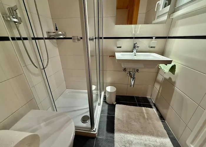 72 05 Charming Duplex 4 Pax Apartment Gryon